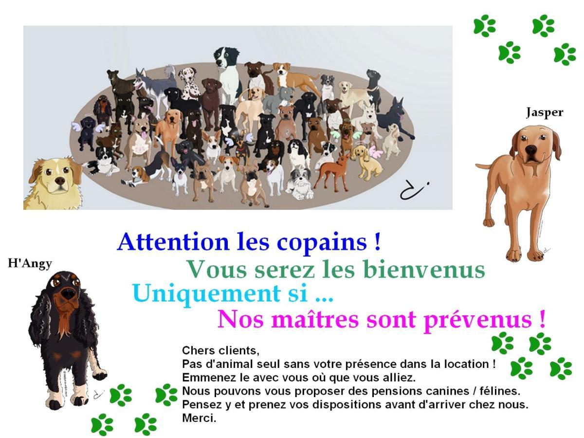 Chambre D'Hotes Le Gachignard Courlay エクステリア 写真