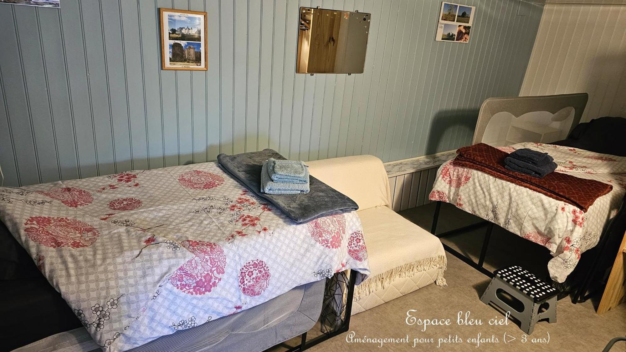 Chambre D'Hotes Le Gachignard Courlay エクステリア 写真